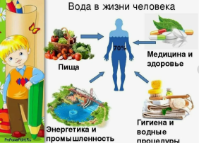 "Вода в жизни человека" "Вода в жизни человека".