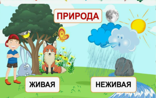 "Живая неживая природа" "Живая неживая природа".