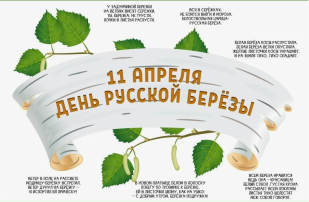 День берёзы День берёзы.