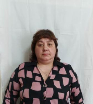 Педагогический работник Воронкова Наталья Владимировна Педагогический работник Воронкова Наталья Владимировна